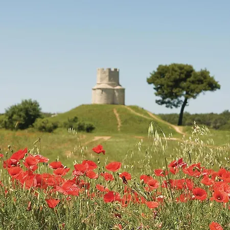 Stunning In * نين